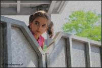 /album/fotogalerij/dsc-0102-C-bewerkt-jpg/